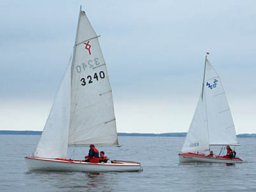 2006