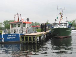 2006