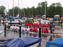 2006