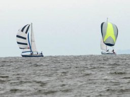2007